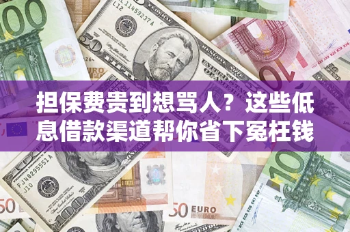济南担保费贵到想骂人？这些低息借款渠道帮你省下冤枉钱