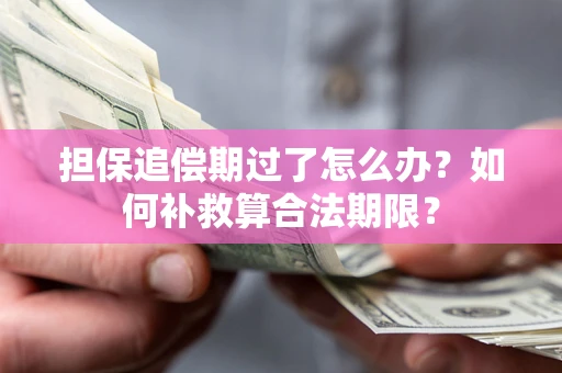 济南担保追偿期过了怎么办？如何补救算合法期限？