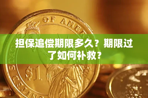 济南担保追偿期限多久？期限过了如何补救？