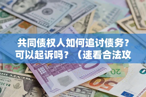 济南共同债权人如何追讨债务？可以起诉吗？（速看合法攻略）