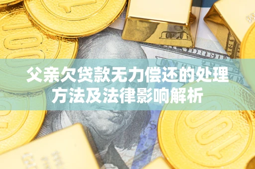 济南父亲欠贷款无力偿还的处理方法及法律影响解析