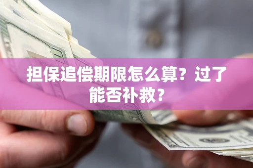 济南担保追偿期限怎么算？过了能否补救？